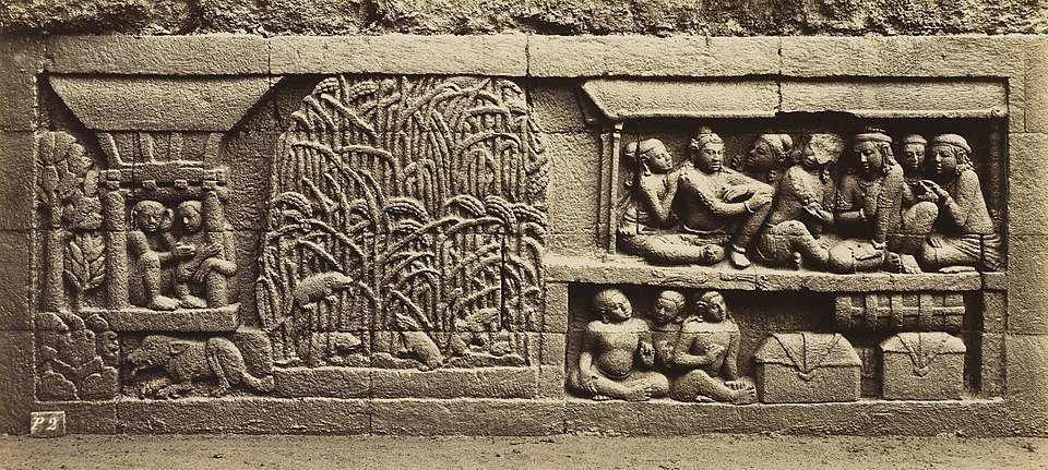 Delicious Kitchen Premium Jasmine Scented White Rice (8 kg)